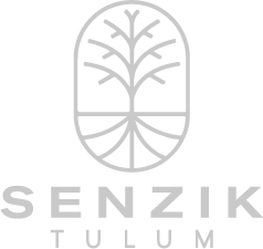 Senzik