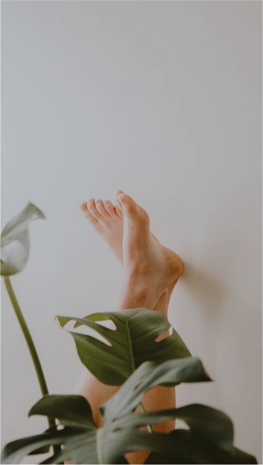 Todo Para Sus Pies