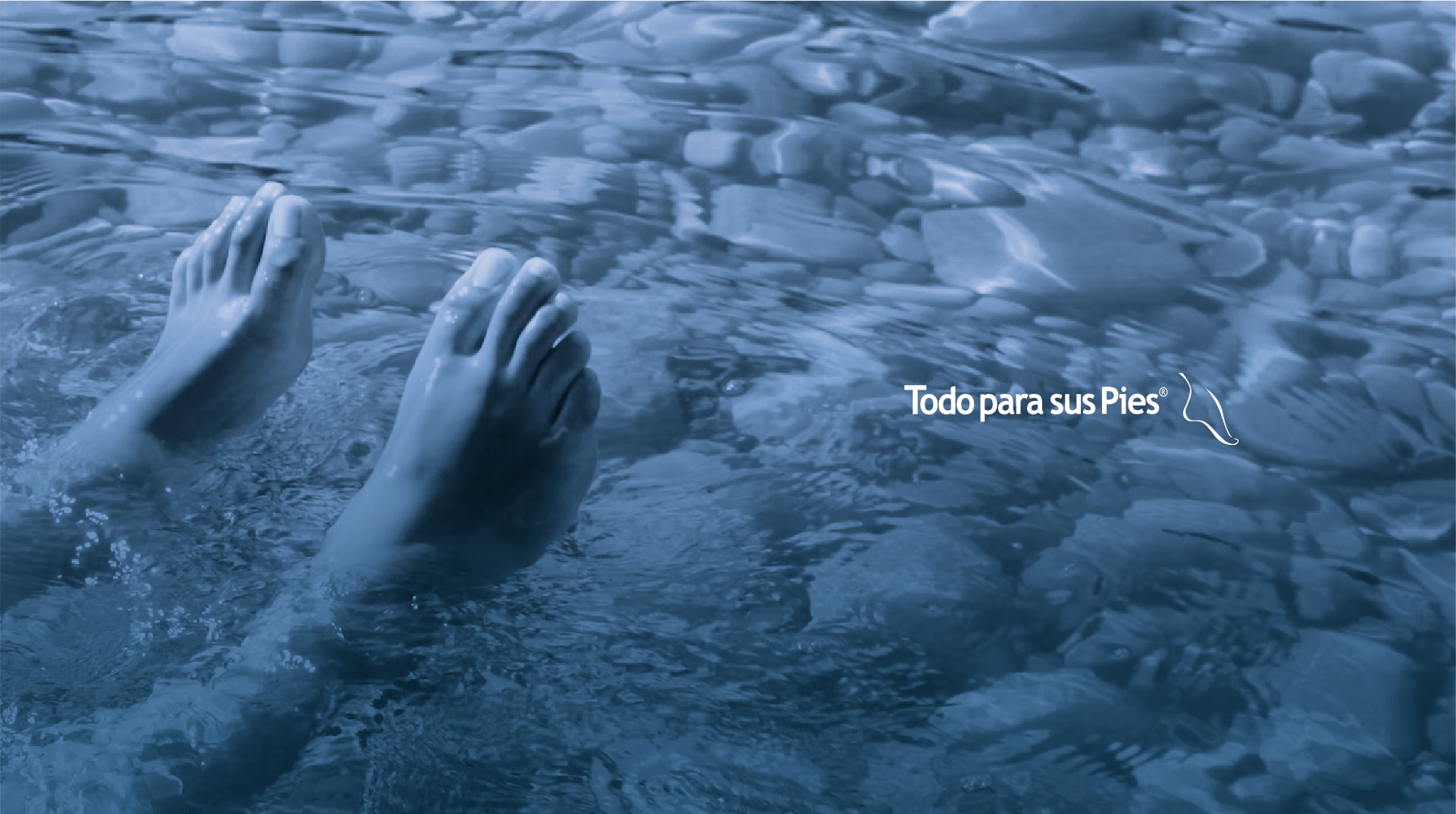 Todo para sus pies